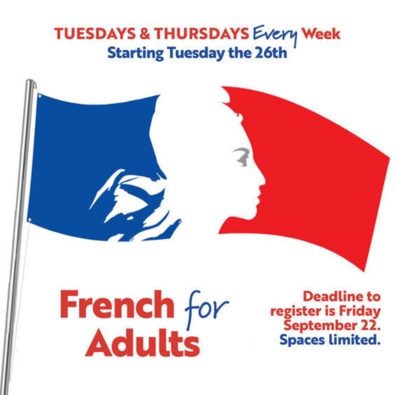 Banner Image for French for Adults - Semester 1