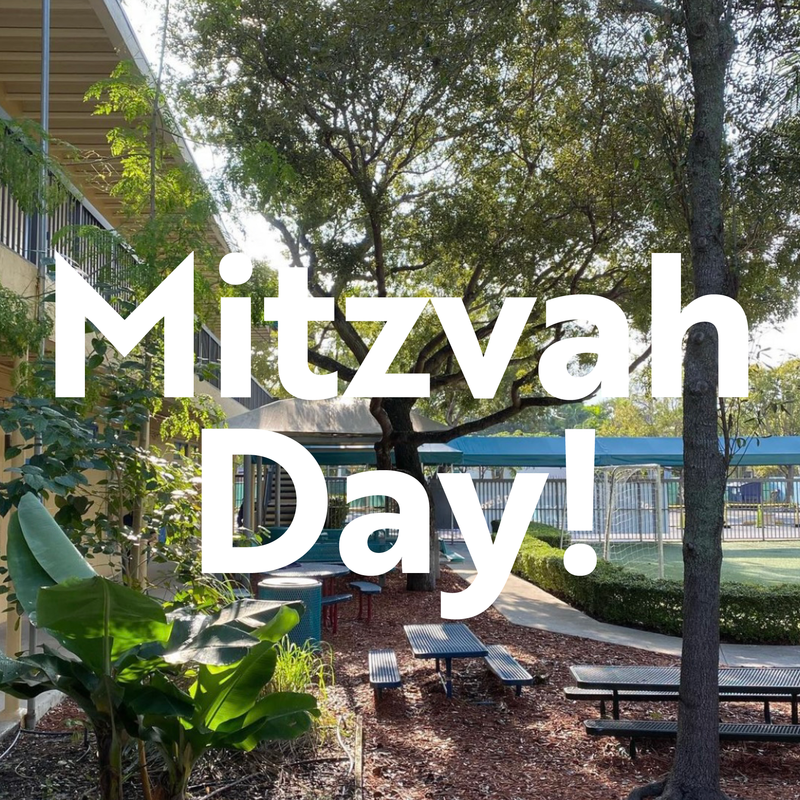 Banner Image for Mitzvah Day