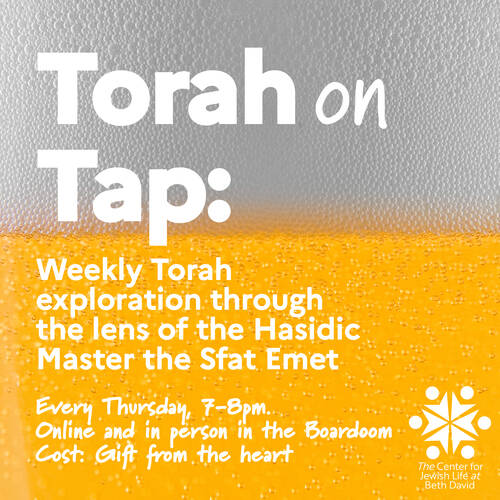 Banner Image for Torah on Tap